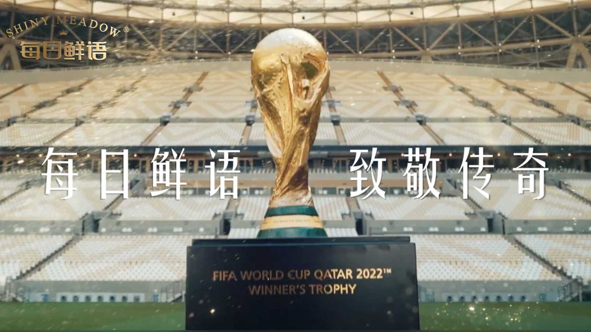 每日鲜语世界杯预热
