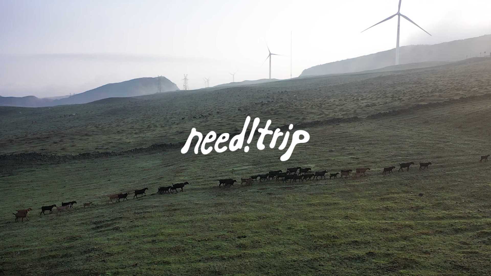 need!trip 贵州｜Dream away from home