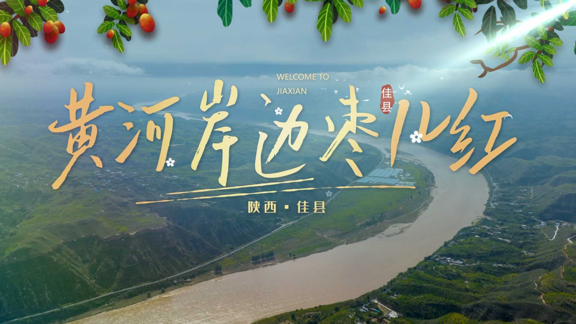 《黄河岸边枣儿红》佳县文旅形象宣传片