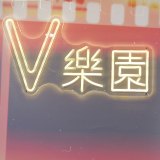 VeryLand（上海V乐园后期）
