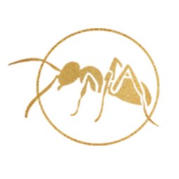 金蚂蚁