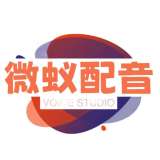 微蚁voice studio