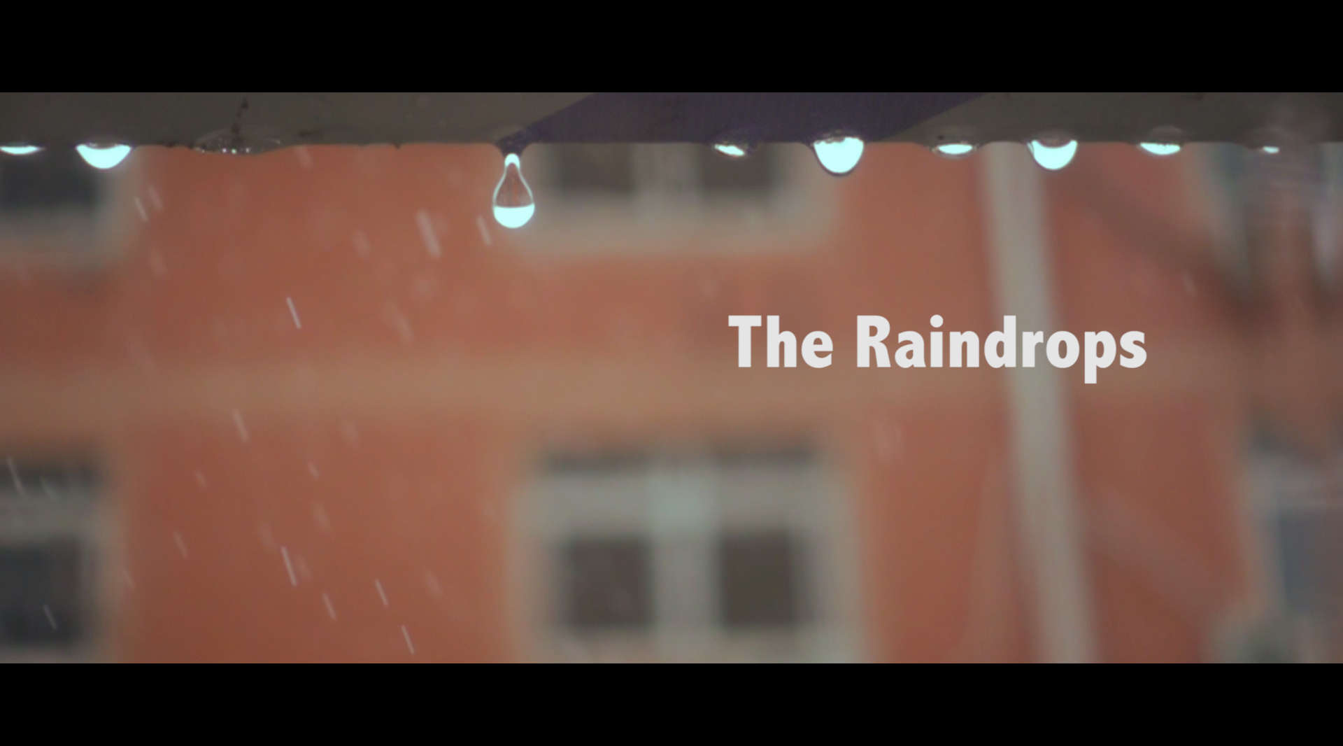 The Raindrops  500fps下的雨落世界