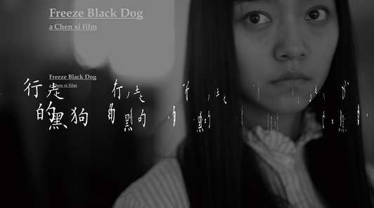 实验电影《行走的黑狗》