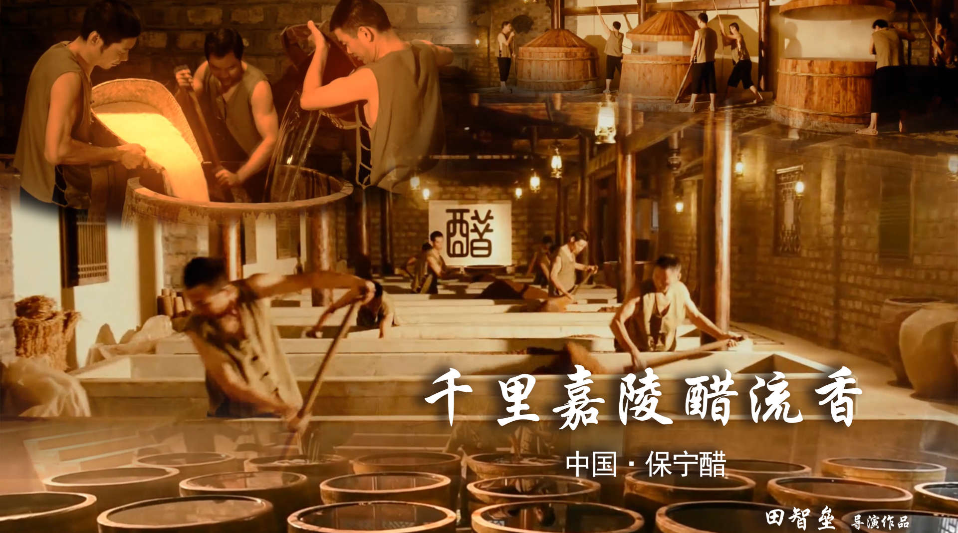 中国保宁醋——《千里嘉陵醋流香》
