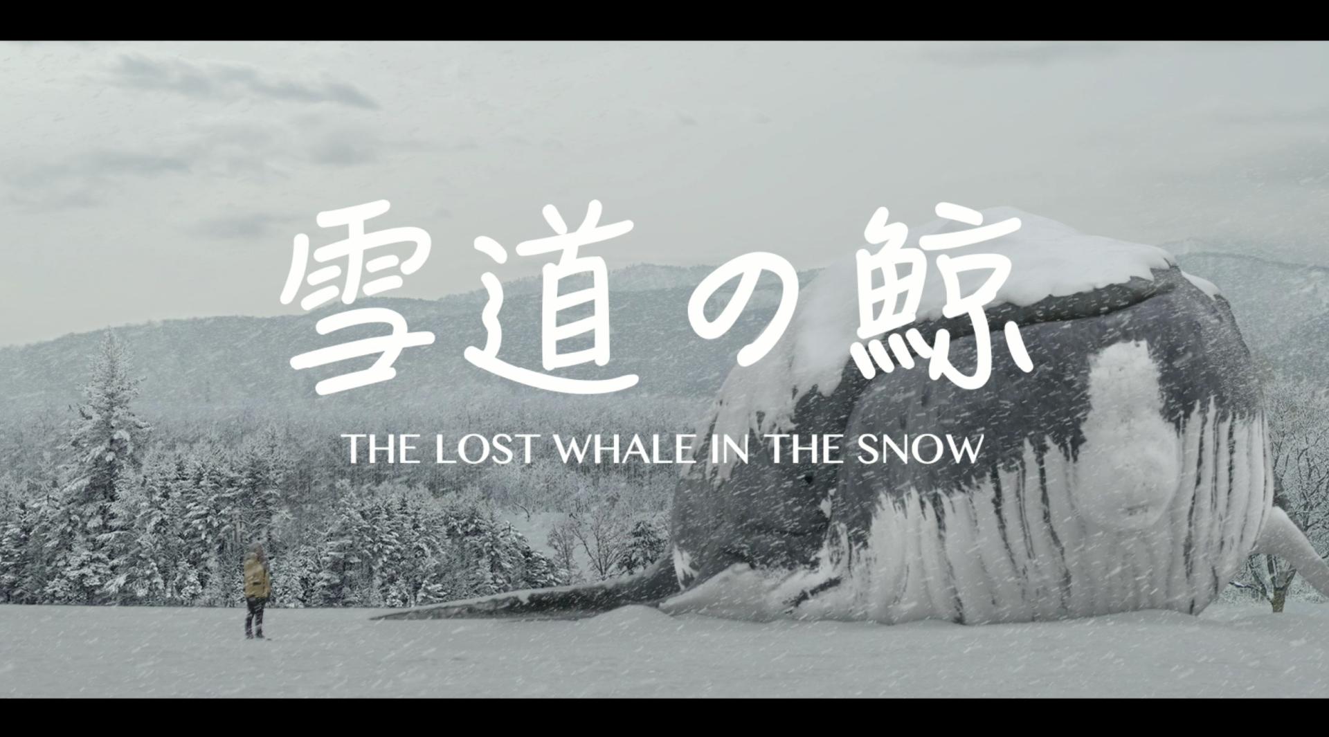 【先导预告】雪地里的鲸鱼