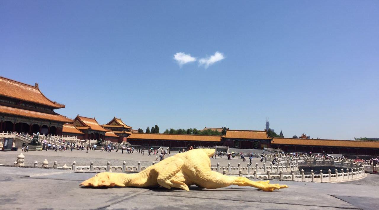 艺视中国丨50岁大叔在故宫里放了只鸡，引全世界的人围观  李铁军