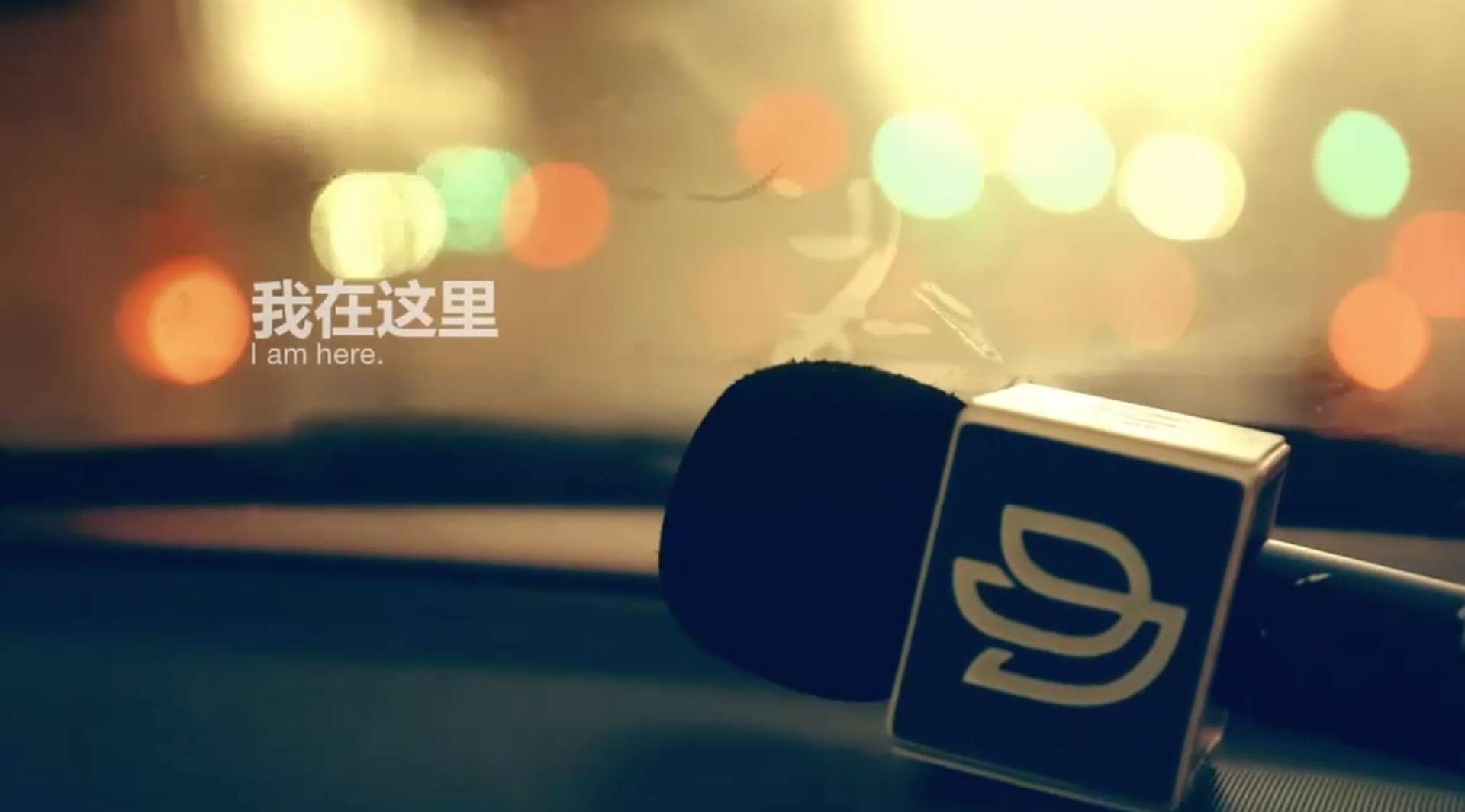 STV·这里是上海2013