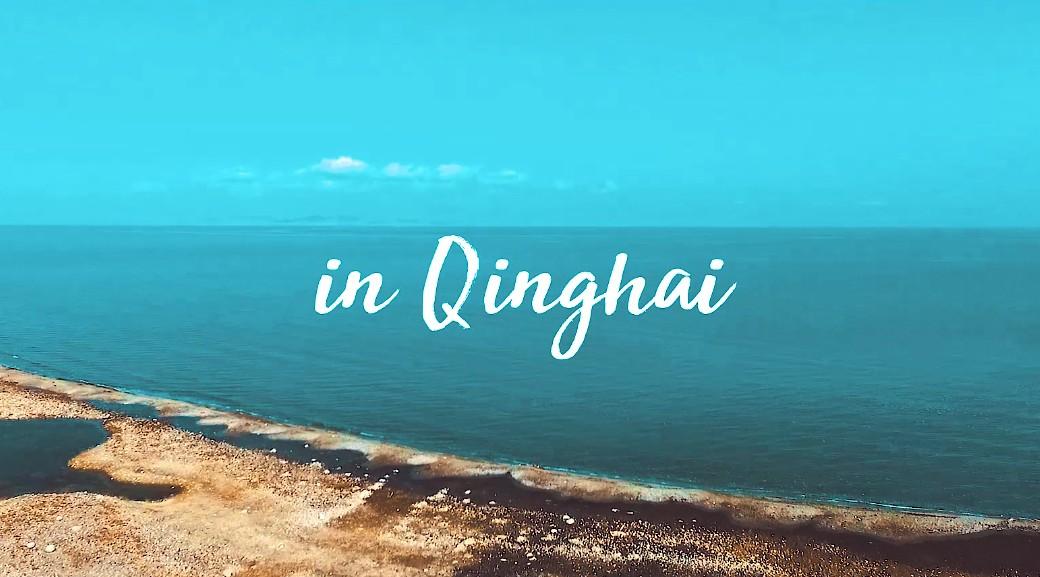 《in QingHai》video01   青海湖