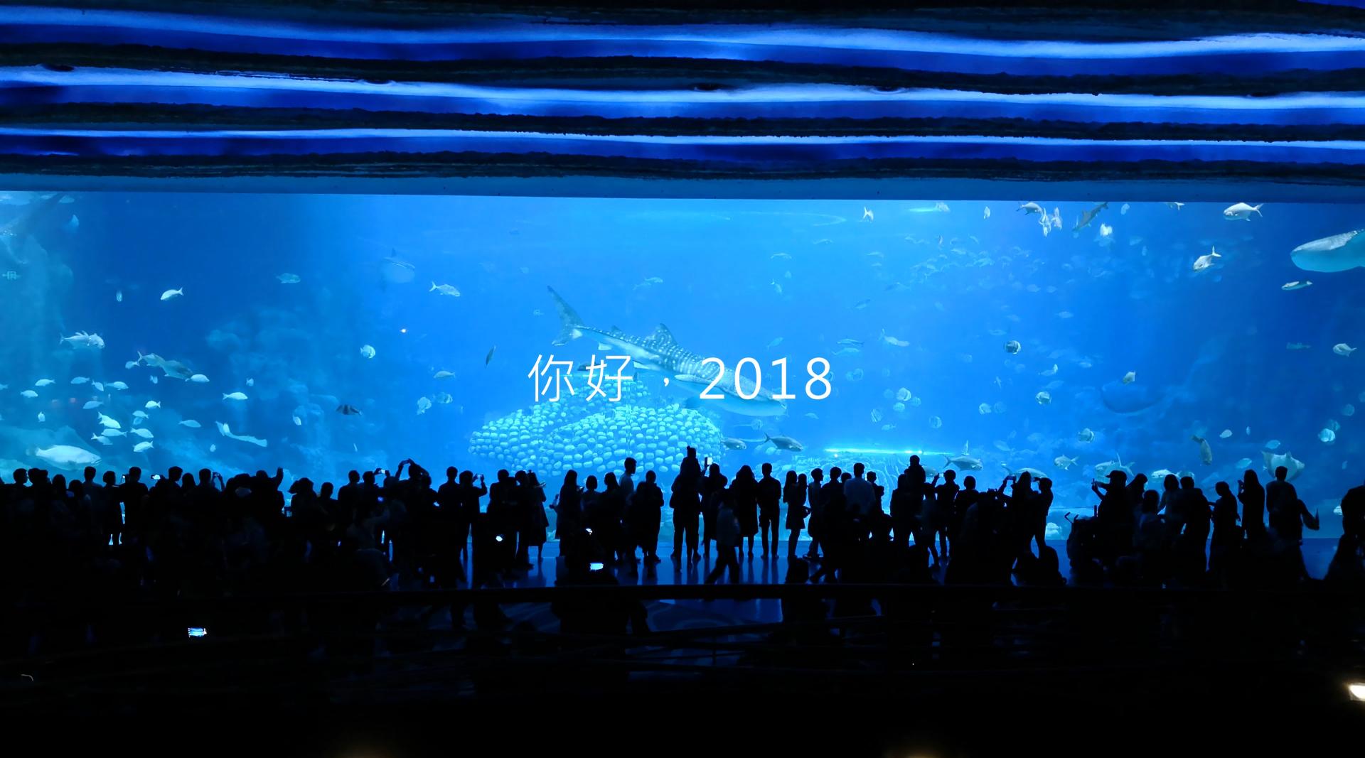 《你好，2018》珠海海洋王国跨年旅拍（初稿）