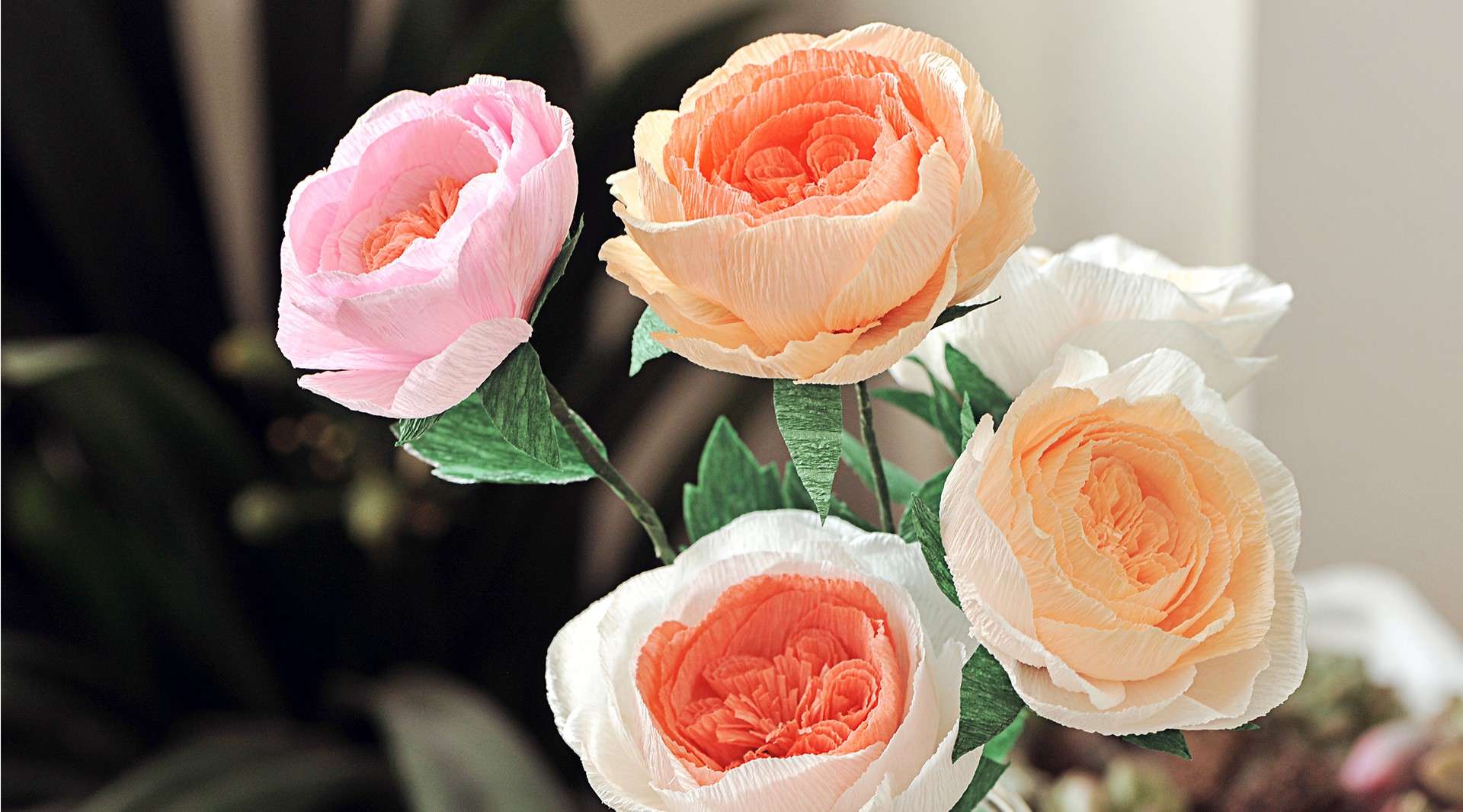【造物集】S698——做束奥斯汀玫瑰，守护你的爱