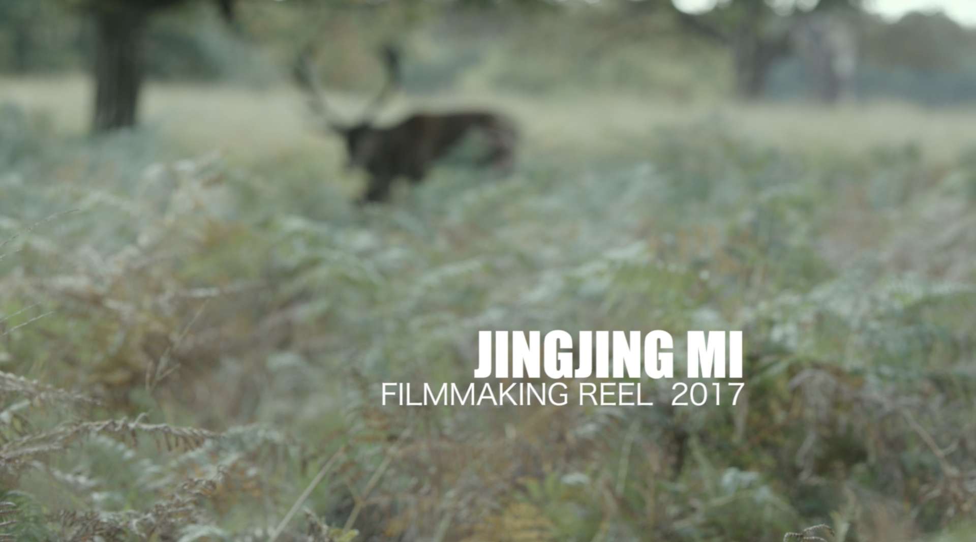 Filmmaking Reel 2017
