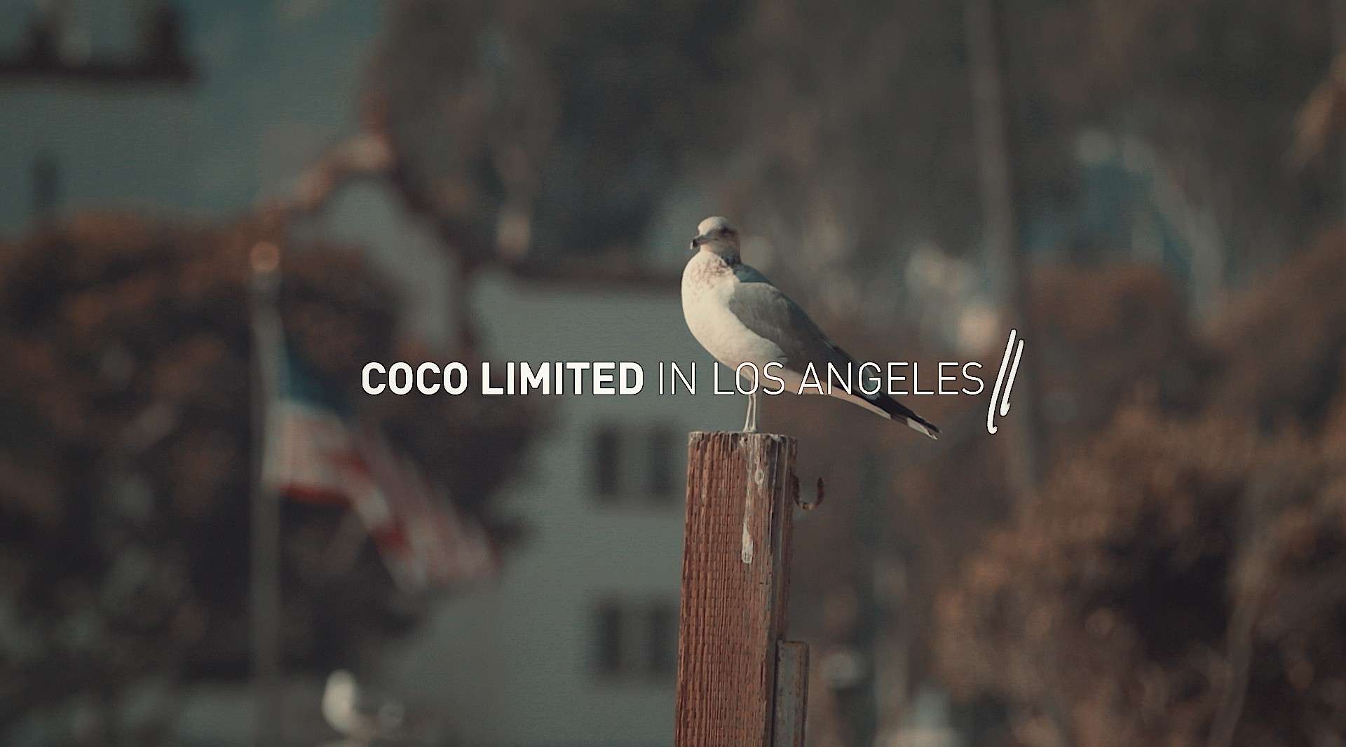 COCO LIMITED 春季服装宣传片 x Los Angeles