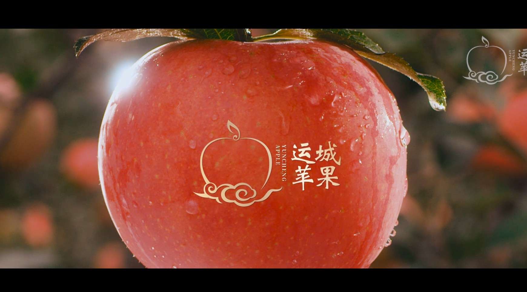 《运城苹果》运城苹果区域公用品牌形象片