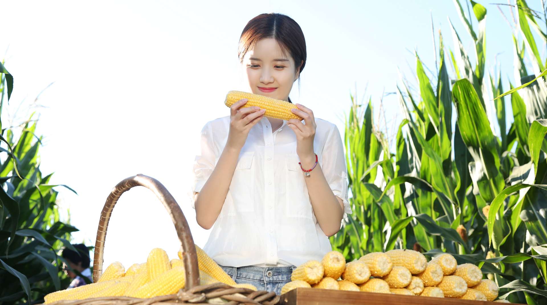 《岭上公主》 公主岭鲜食玉米品牌形象片