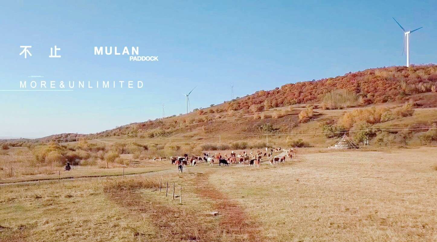 【北林】旅行短片│More&Unlimited: Mulan Paddock「不止木兰」