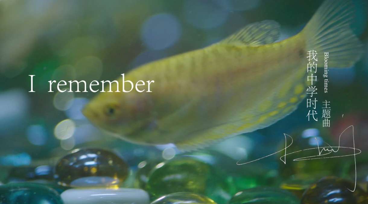 【主题曲MV】I remember（2012）《我的中学时代》主题曲MV