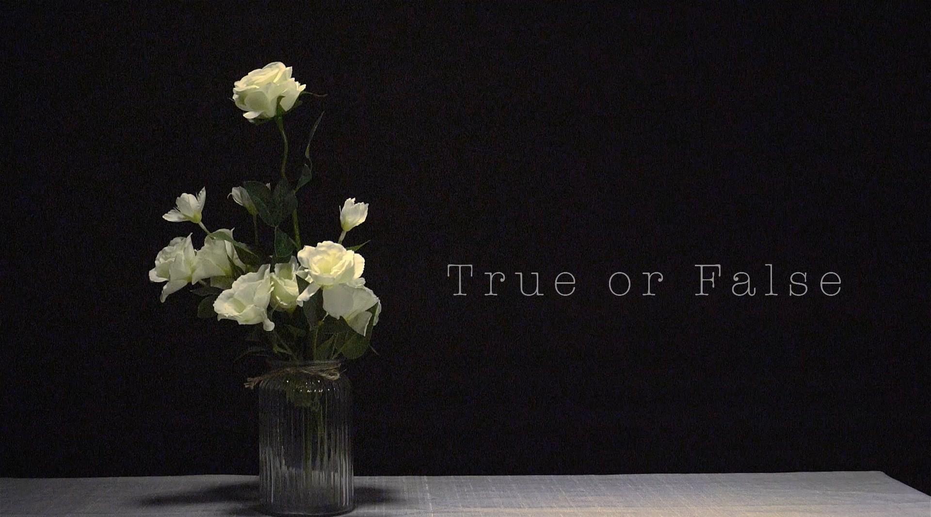2018届北京印刷学院摄影专业毕设作品《True or False》