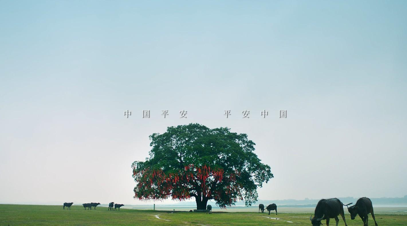 中国平安集团30周年宣传片