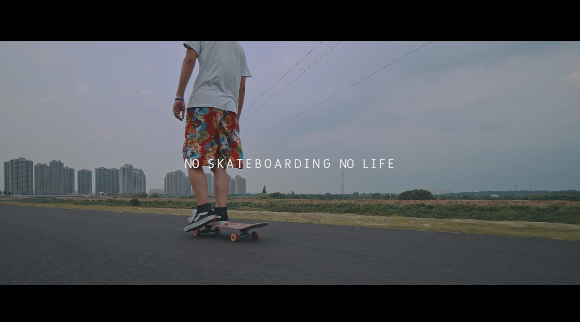 NO SKATEBOARDING NO LIFE