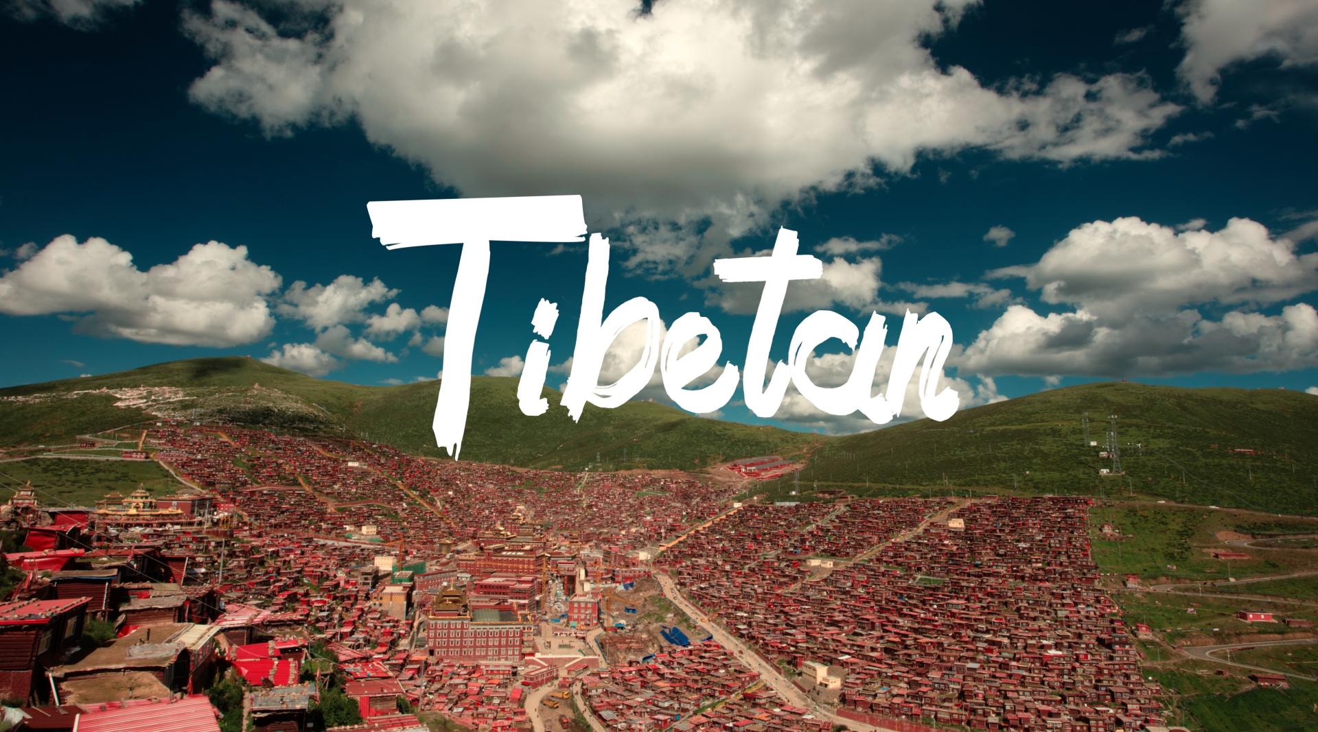 Tibetan( 藏 ）