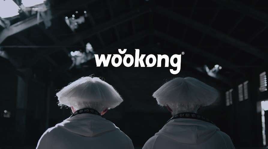 wookong｜2017品牌形象片