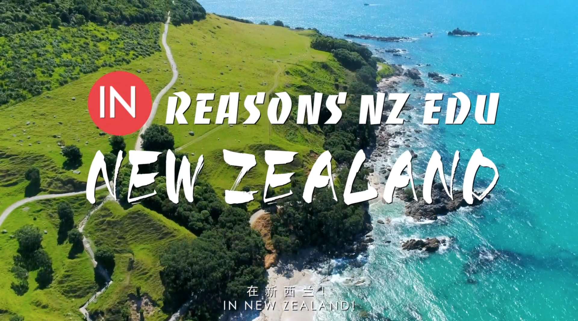 怀卡托——IN NEW ZEALAND，新西兰旅拍