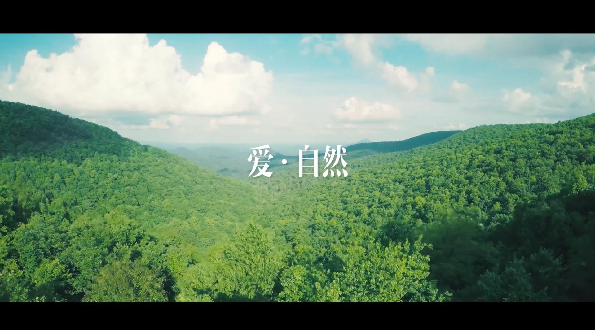 爱·自然——深圳市莲南小学宣传片