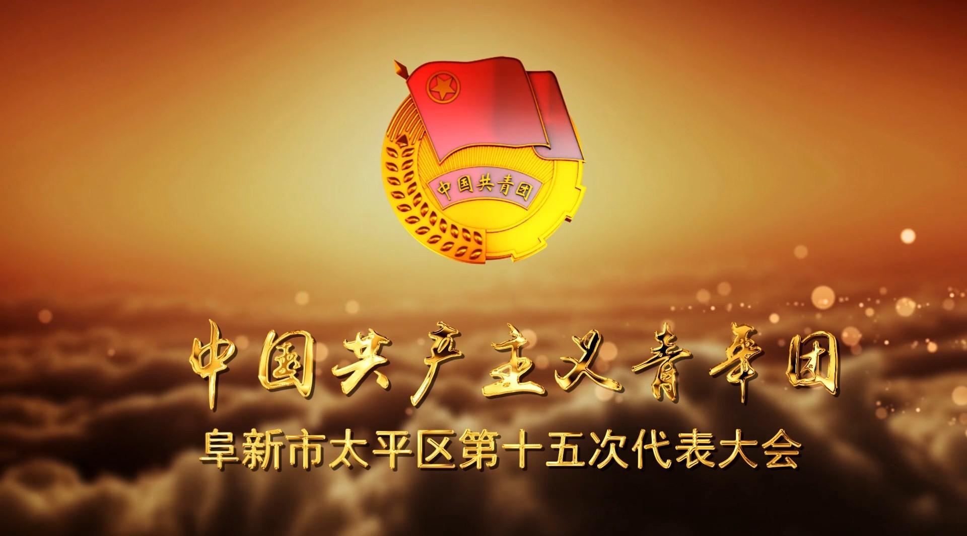 中国共产主义青年团阜新市太平区第十五次代表大会