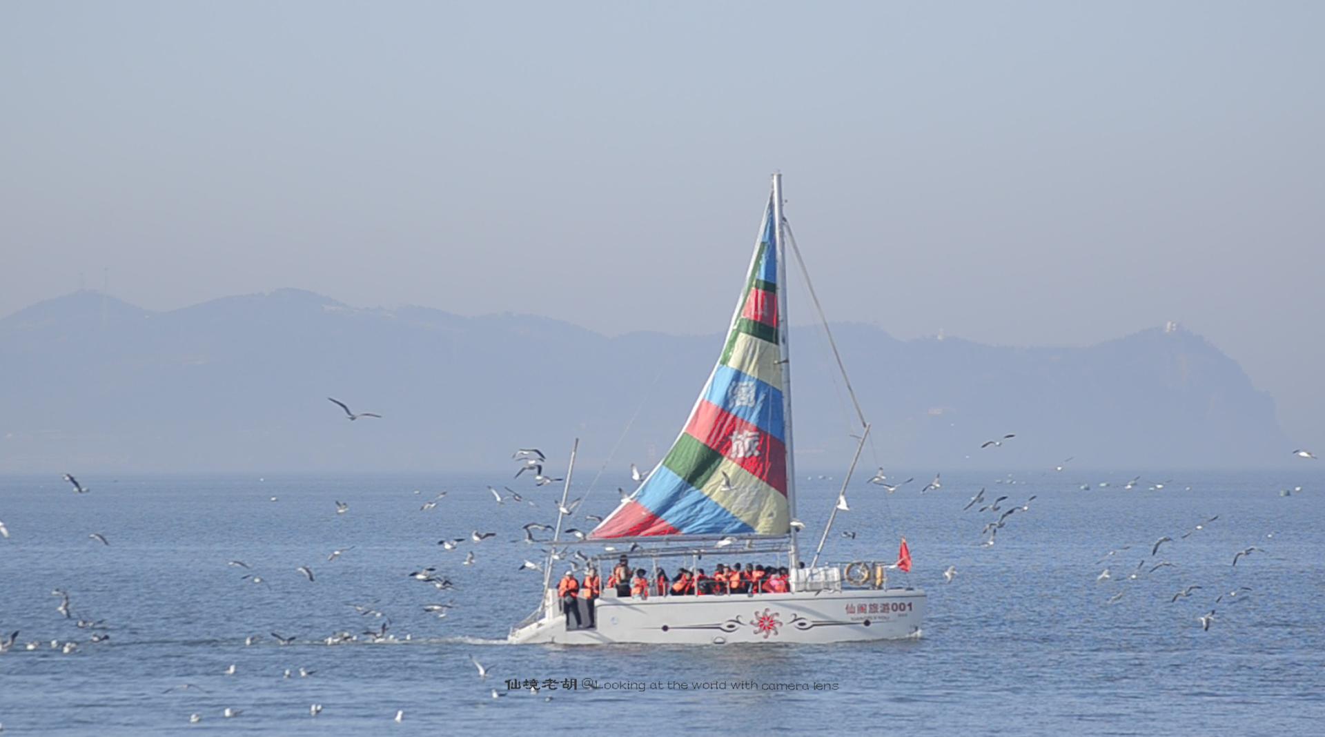 仙境海岸「蓬莱」游客与海鸥