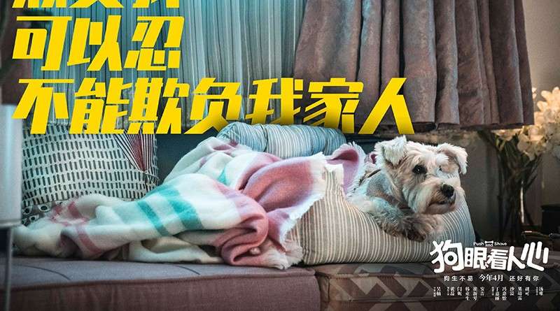 《狗眼看人心》首曝预告定档4月，黄磊闫妮为爱犬怒讨公道