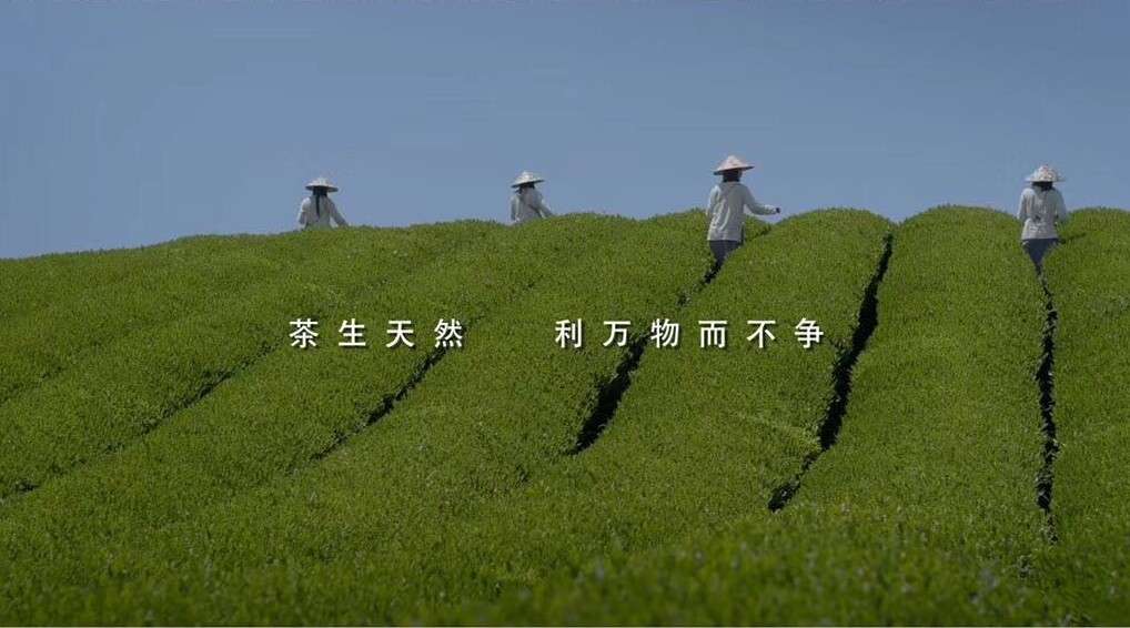 《浙里茶香》纪录体东方茶文化宣传片