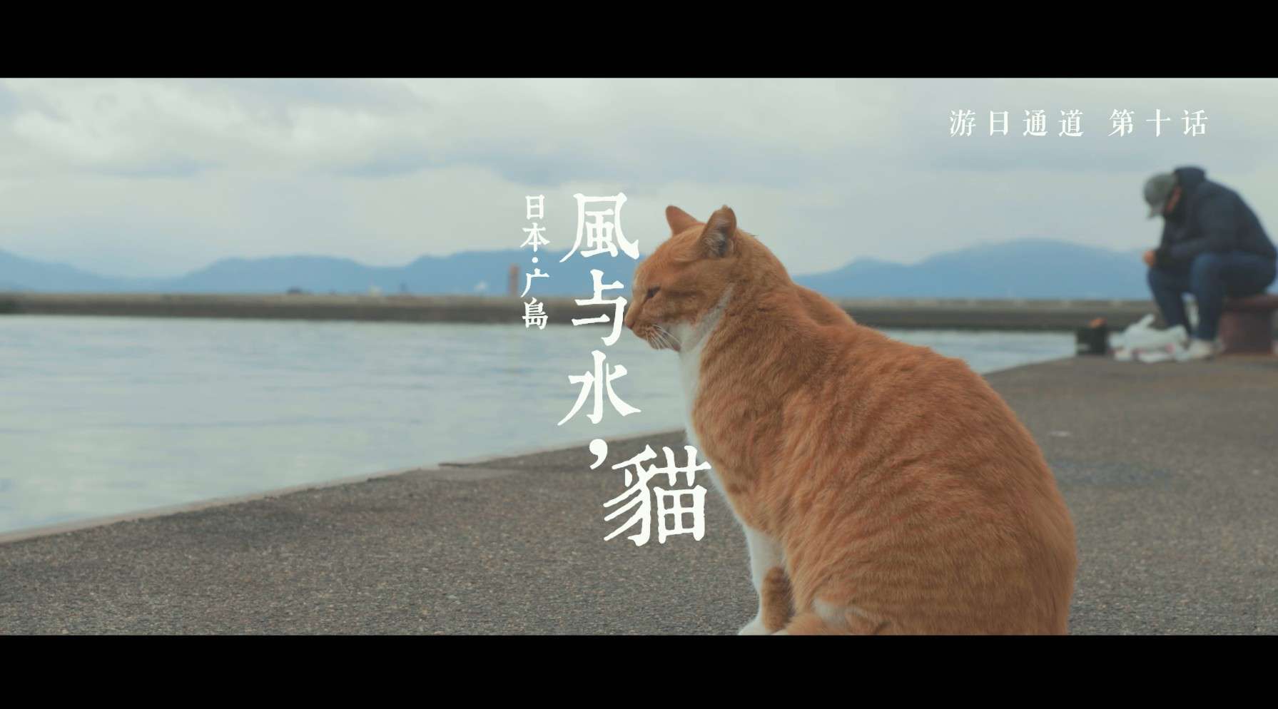 游日通道：风与水，猫·日本广岛