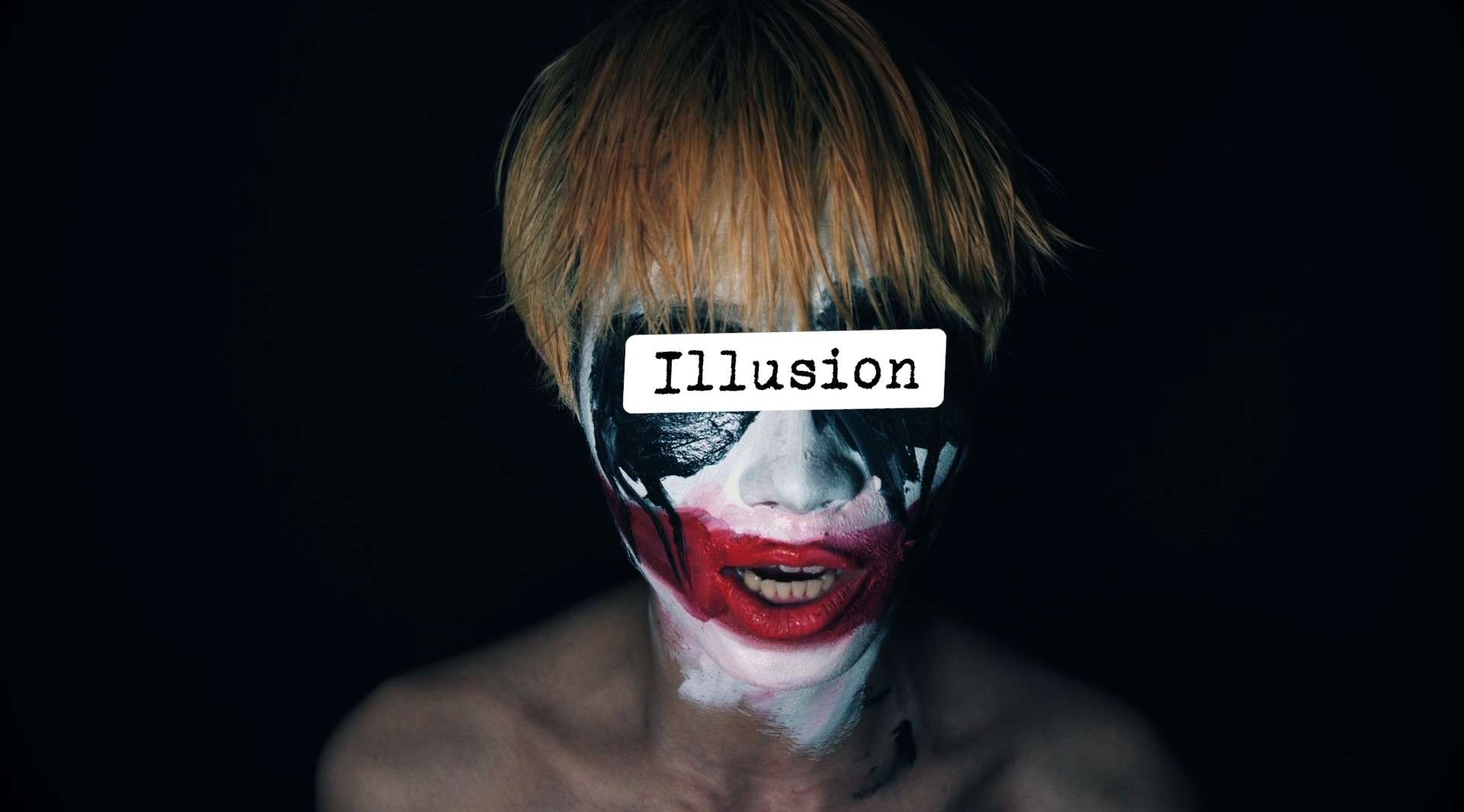 Perfect Illusion（自制MV）