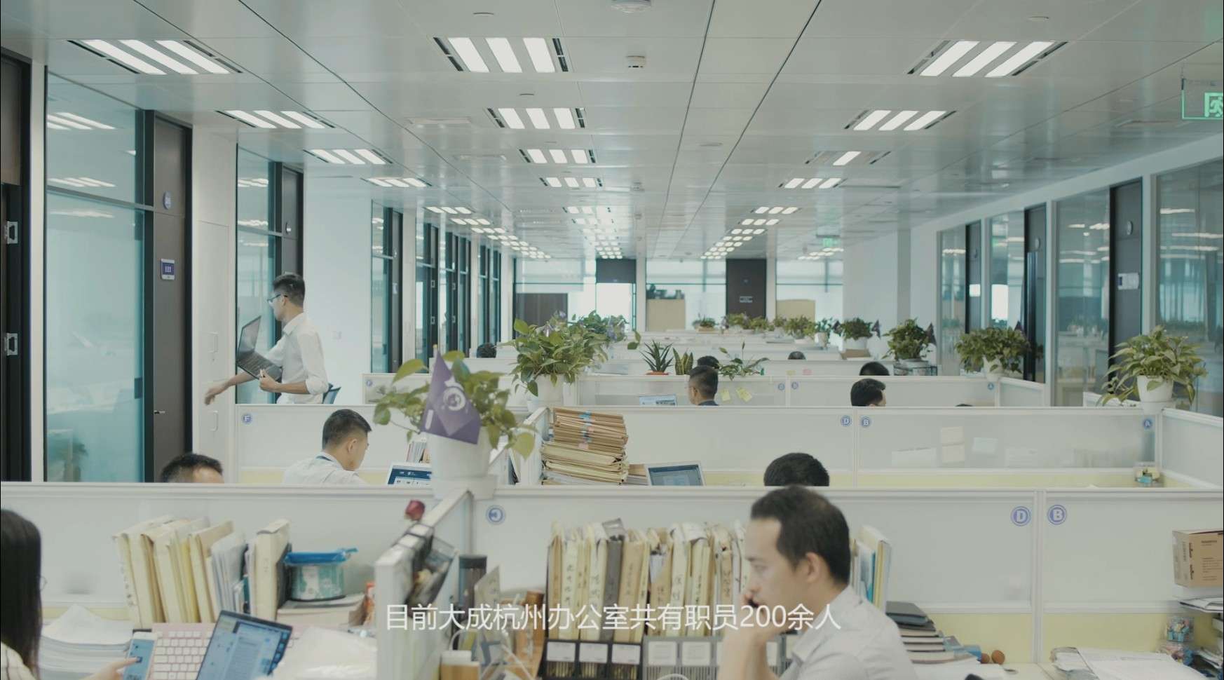 杭州大成律师事务所-宣传片