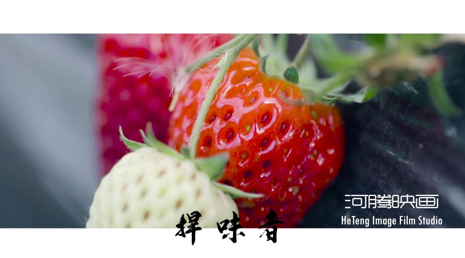 成县广化草莓采摘园