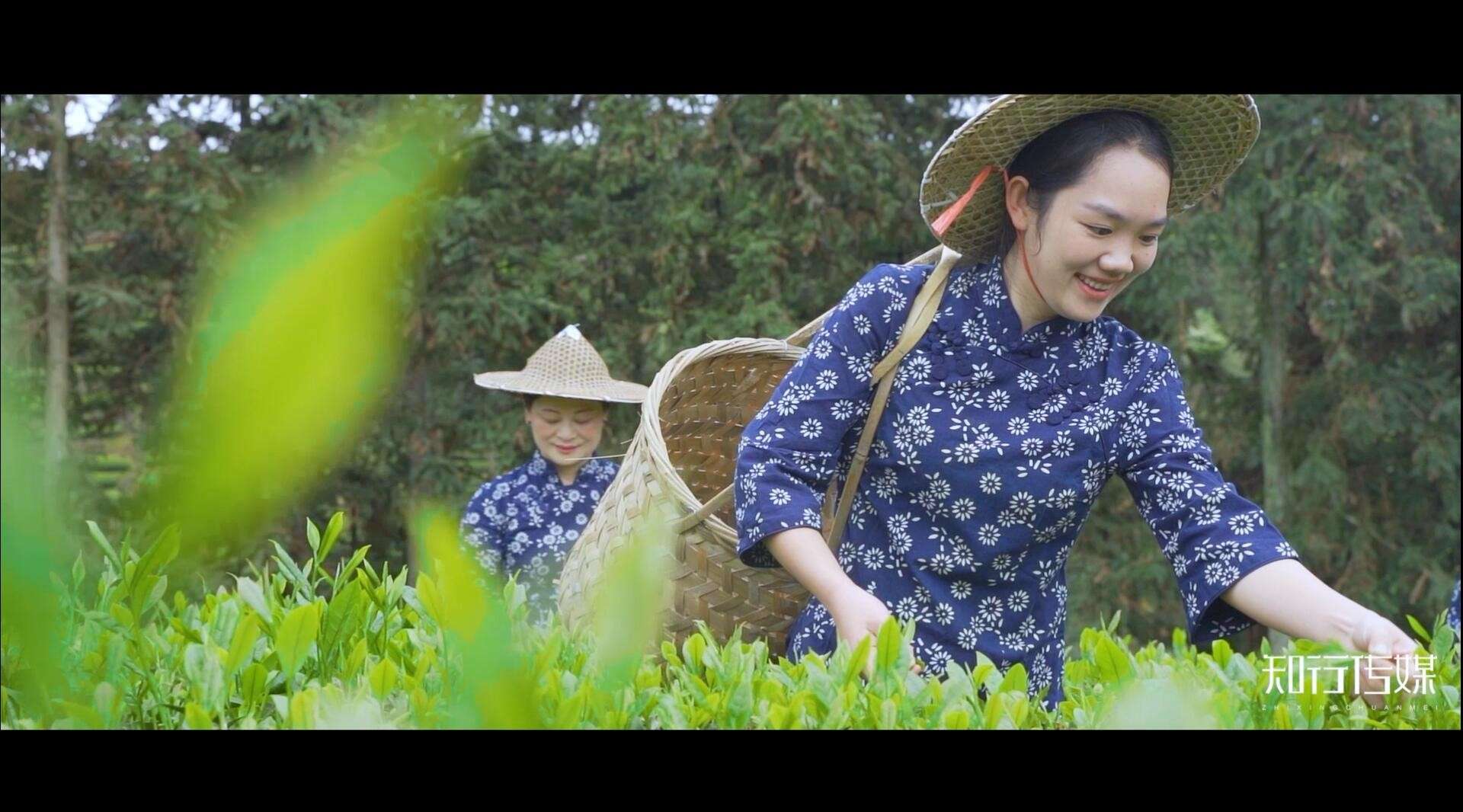 【印象大红袍X知行影视】武夷山祭茶喊山民俗文化节宣传片