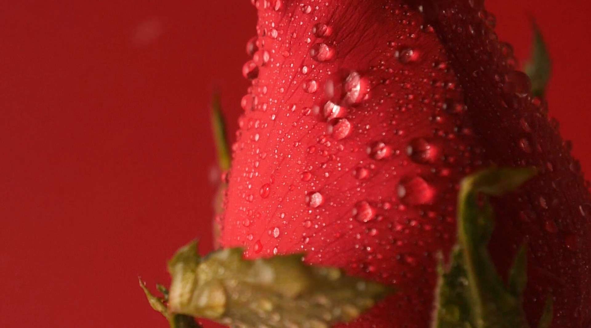 嘉华鲜花饼——草莓玫瑰塔