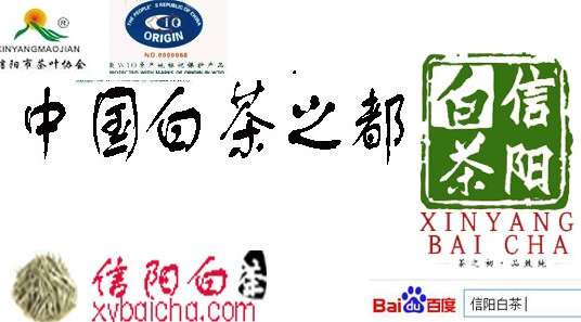中国茶王之乡-浉河港，信阳毛尖红茶白茶黄芽茶核心原产地