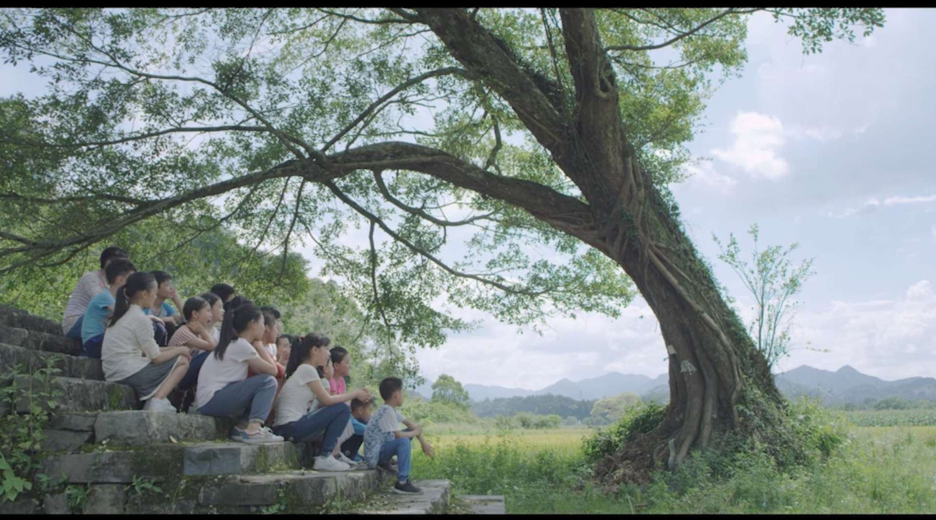 入围广州国际微电影大赛-《荔枝妈妈》