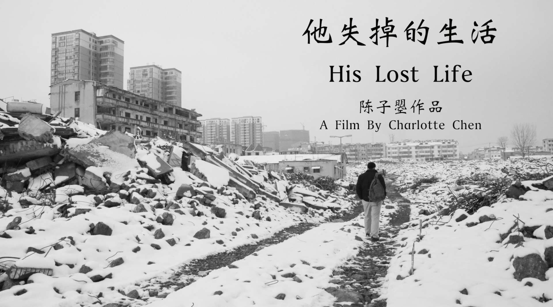 他失掉的生活 | His Lost Life