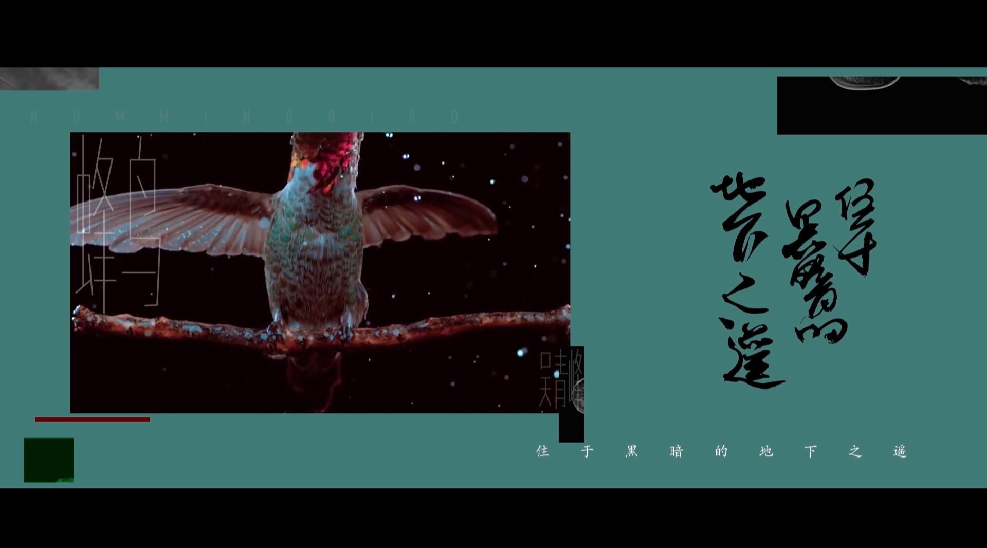 Wu Qingfeng_Hummingbird_Lyrics MV 吳青峰－蜂鳥－歌詞版mv