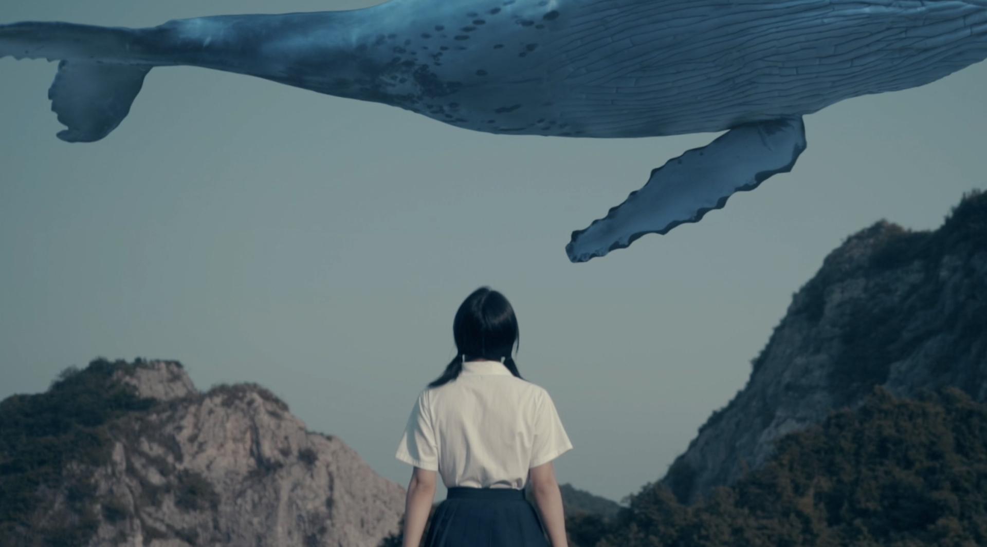 【鲸末影像】终有一天，会像大海中的鲸鱼那样自由翱翔