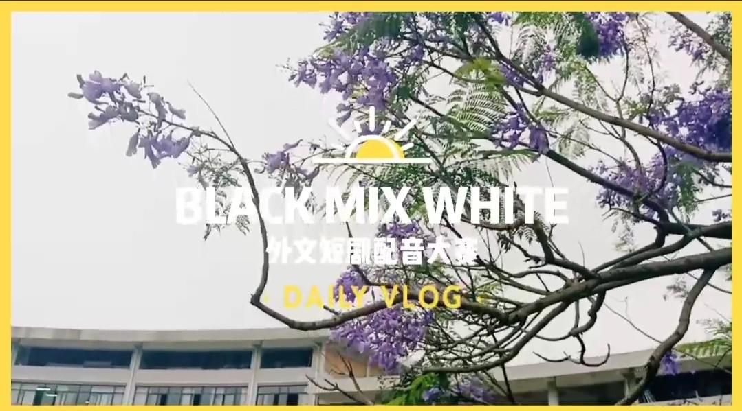 《BLACK MIX WHITE》2019年英协配音来源于宇鹏