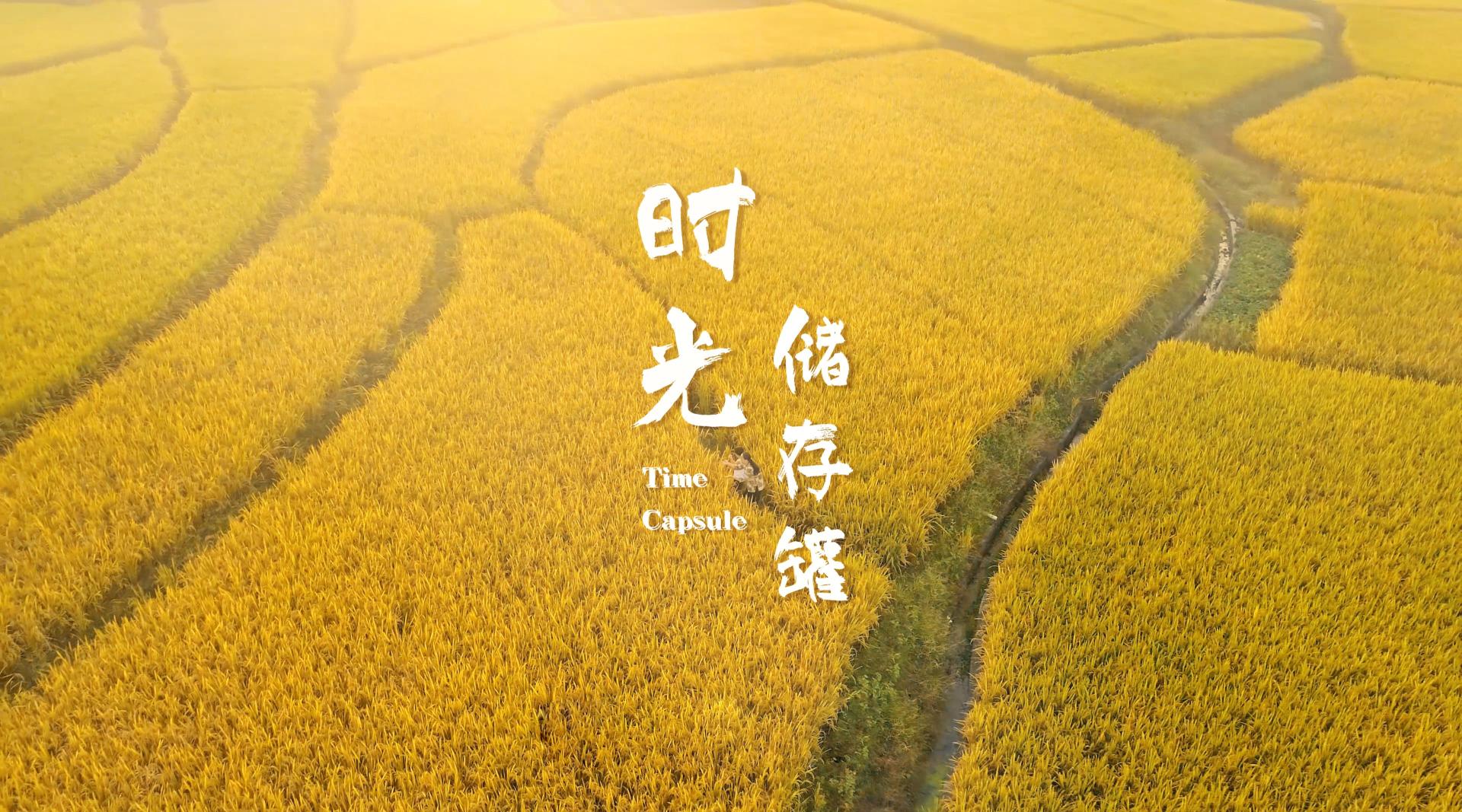广州农商银行品牌微电影-《时光储存罐》