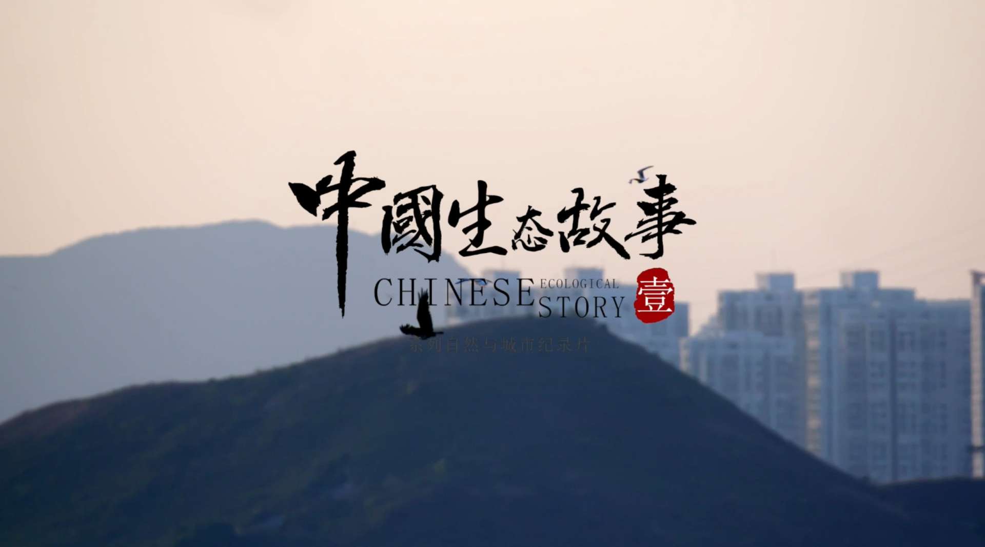 《中国生态故事》系列纪录片。深圳片预告
