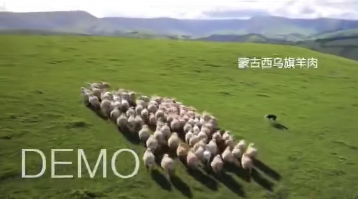 内蒙古西乌旗牛肉——美食广告宣传片DEMO