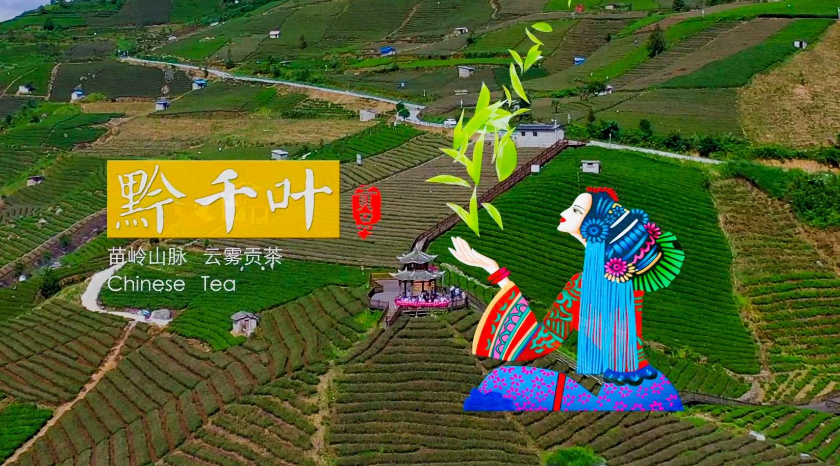 【黔千叶】中韩茶文化教育文化交流周（中国贵州·云雾）