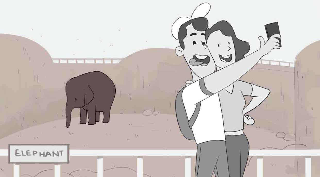 环保讽刺动画短片《我们爱动物》