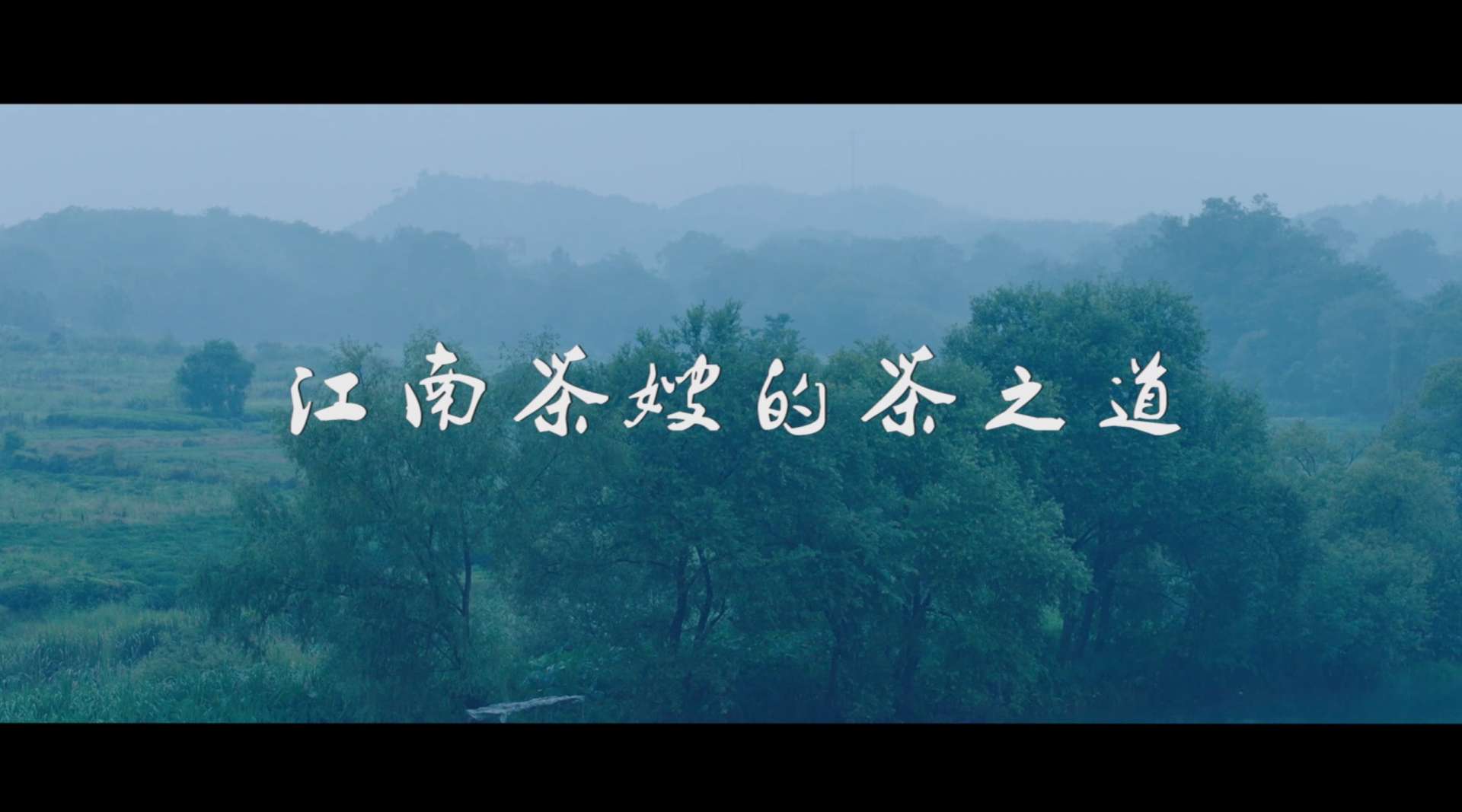 婺源红-《江南茶嫂的茶之道》-品牌宣传片